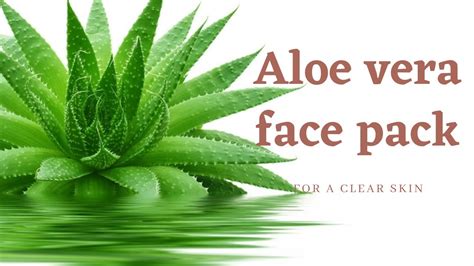 Aloe Vera Face Pack For Clear Skin Beauty Tips How To Get Clear