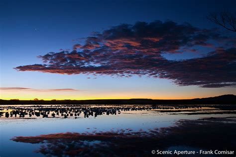 Bosque del Apache Photography Workshop | Socorro, NM | 970-385-5853