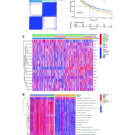 Two Clusters Of Cuproptosis Related Differential Genes A The