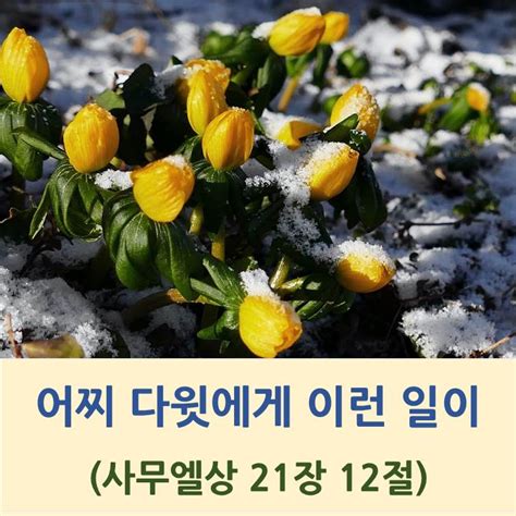 3월 10일금 오늘의 말씀과 기도 사무엘상 21장 다윗에게 어찌 이런 일이