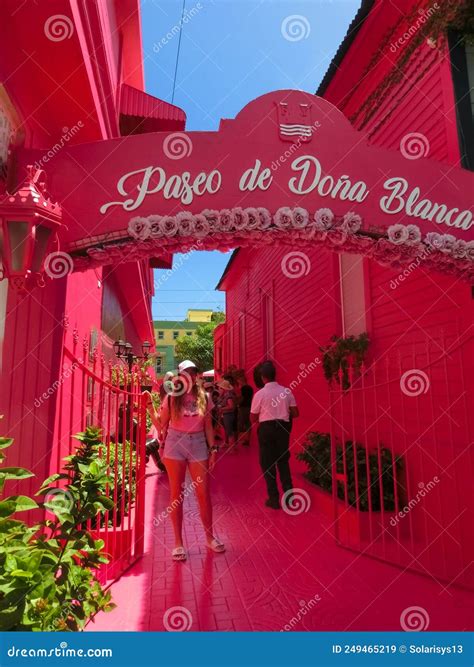 Pink Street with Green Plants, Windows, Street Lams, Decorative
