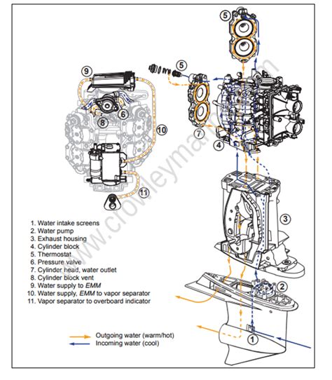 Service Manual 5008332 115 200 HP 60 V4 V6 Cooling System Hose