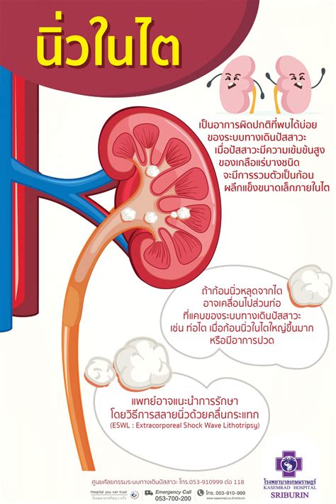 นิ่ว ภาษาอังกฤษ การเรียนรู้ภาษาใหม่ในชีวิตประจำวัน