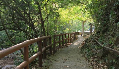 Tai Po Kau Nature Reserve | Hong Kong Cheapo