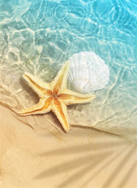 Starfish And Seashell On The Summer Beach In Sea Water Stock Photo