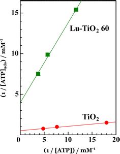 Estimation Of NS And K Values By Plotting The Amount Of Adsorbed ATP On