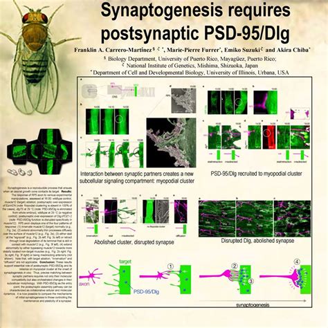 How to Design Attractive Scientific Posters That Are Also Effective ...