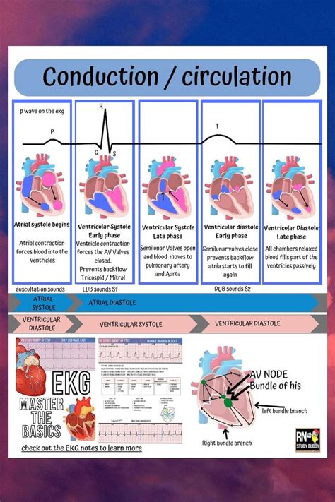 Cardiac Medsurg Bundle Pages Easy Cardiac Medsurg Nursing Notes And