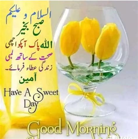 Top Good Morning Images In Urdu Amazing Collection Good Morning