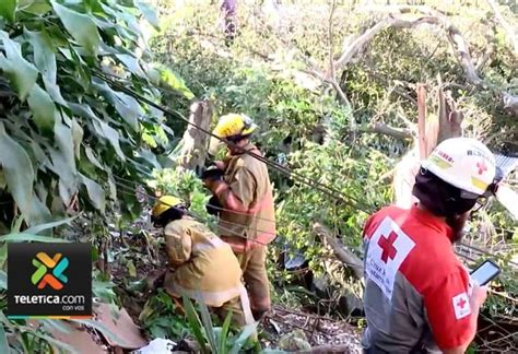 Joven Muere Tras Caerle Encima Rama De árbol En Guanacaste Teletica