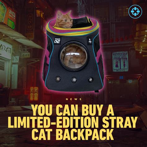 Ign On Twitter This Adorable Stray Themed Cat Backpack And Cat