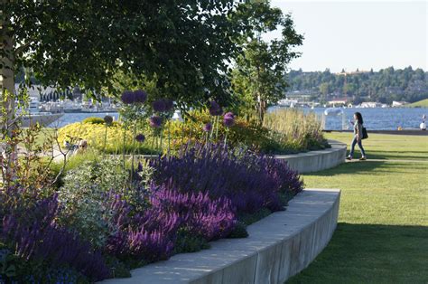 South Lake Union Park | Hargreaves Jones