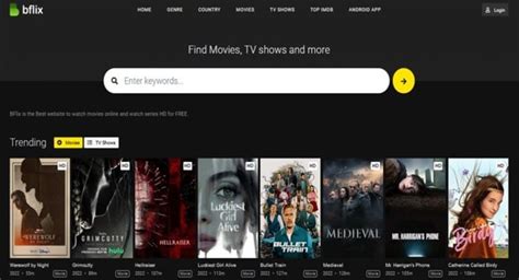 22 Bflix Alternatives To Stream Movies Online In 2024