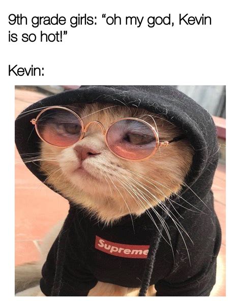 That Kevin Is So Hot Right Meow Rkevin