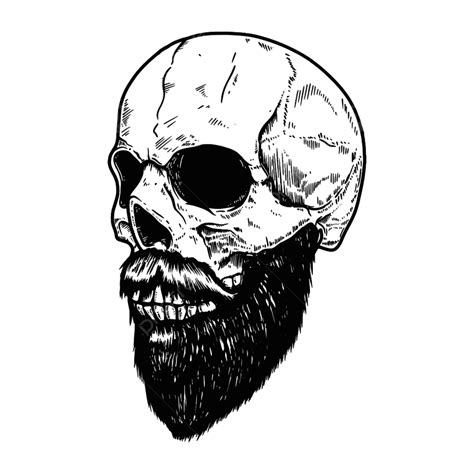 Bearded Skull Clipart Hd Png Bearded Skull In Engraving Style On White Background Shirt Shop