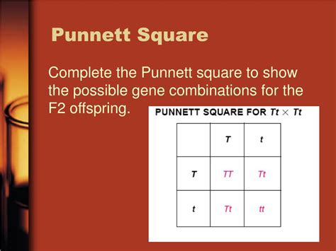 Ppt Genetics Powerpoint Presentation Free Download Id 118037