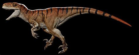 Jurassic World:Dominion atrociraptor(tiger) render by patrik343434 on ...