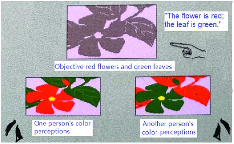 The ostensive definition of "red" and "green" is according to what is... | Download Scientific ...