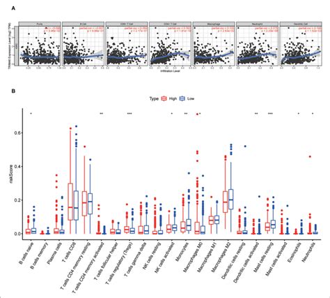 Associations Of Tumor Infiltrating Immune Cell Tiic Proportion With Download Scientific