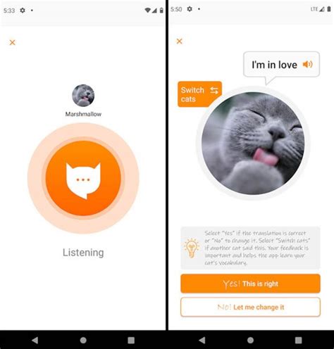 Meowtalk L Application Qui Traduit Les Miaulements De Votre Chat En Mots