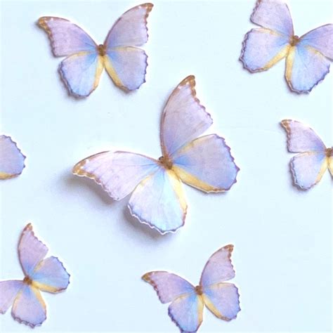 Shimmery Iridescent Pink And Blue Wafer Paper Edible Pre Cut 3d