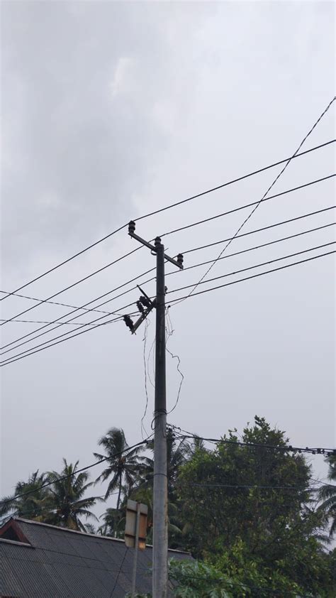 Penyangga Tiang Lepas Listrik Di Bengkulu Selatan Mati Berjam Jam