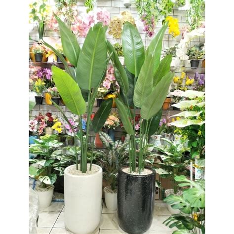 Jual Pohon Pisang Artificial Tinggi 150cm Shopee Indonesia