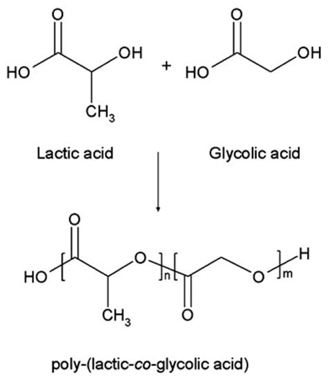 Ijms Free Full Text An Overview Of Polylactic Co Glycolic Acid