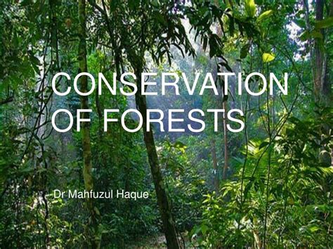 PPT - CONSERVATION OF FORESTS PowerPoint Presentation, free download ...