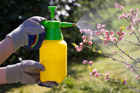 Protect Your Family With These Pesticide Safety Measures