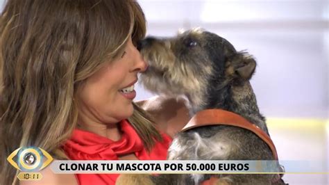 V Deo Los Perros Toman La Mirada Cr Tica Con La De Terradillos En