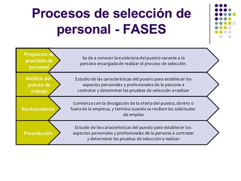 Fases Del Proceso De SelecciÓn De Personal En Una Empresa Fases Del