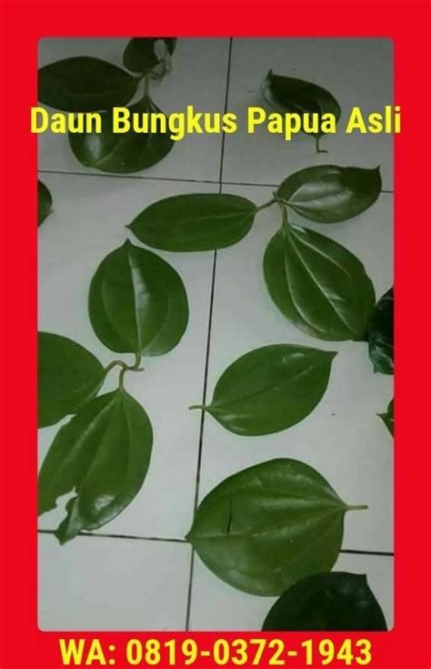 62819 0372 1943 Wa Bukti Daun Bungkus Papua Di Jakarta Bogor Depok