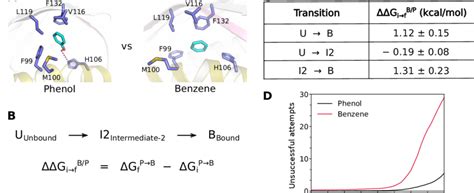 Phenol based selection (A) Phenol vs benzene in intermeidate-2 state ...