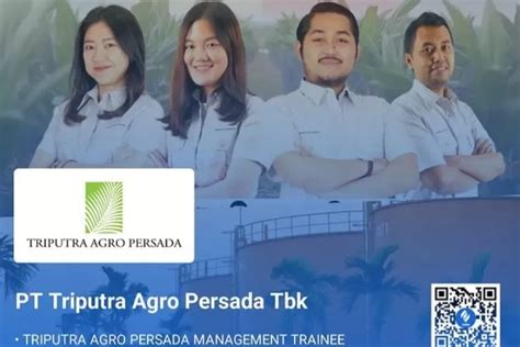 Info Lowongan Kerja Terbaru PT Triputra Agro Persada Tbk Agustus 2023