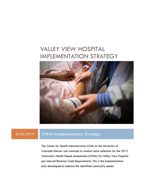 Valley View Hospital Implementation Strategy by Valley View Foundation ...