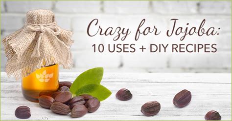 Jojoba Oil Uses: Top 10 Uses + 3 DIY Recipes | Swanson Health Hub