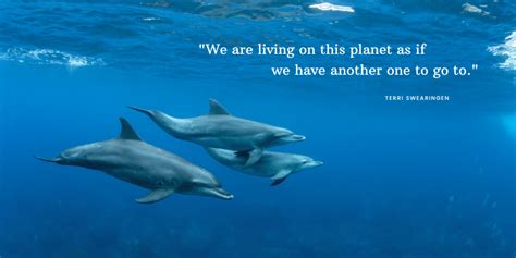 Quotes About Saving The Ocean Inessa Ulrikaumeko