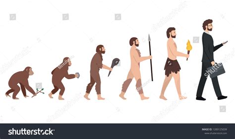 Human Evolution Development Monkey Modern Man Stock Vector (Royalty ...