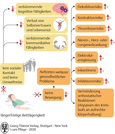 Unterrichtsmaterial I Care Pflege I Care Plus