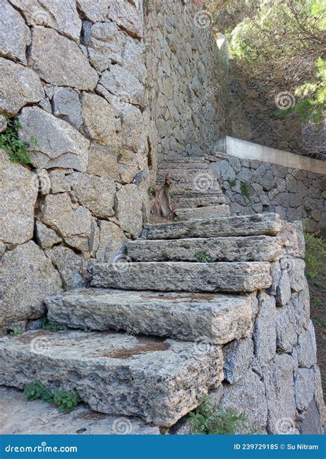 Chiusura Di Scale Di Pietra In Roccia Antichi Gradini Di Pietra Nella