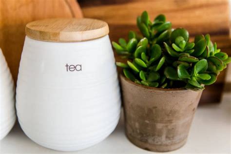 5 Best Places To Put Jade Plant At Home For Good Feng Shui