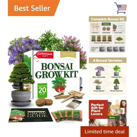 Complete Bonsai Tree Kit Easy To Grow 4 Species Of Bonsai Bonus