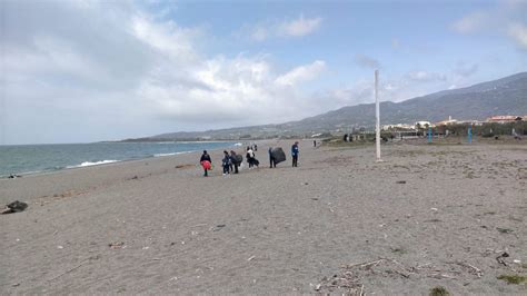 Lamezia Plastic Free Volontari In Azione Per Ripulire La Spiaggia