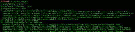 How To Update Your Kali Linux System Kirelos Blog