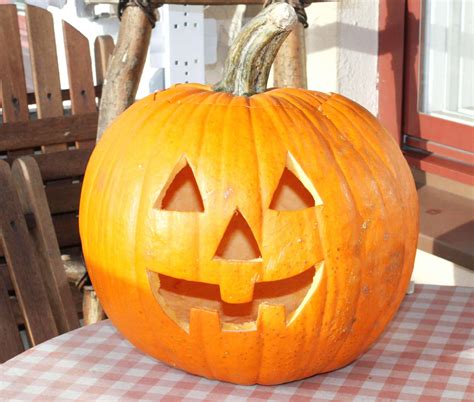 25+ Cute Pumpkin Ideas - Jack O Lantern Designs - Live Enhanced