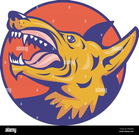 Baring Fangs Stock Vector Images Alamy