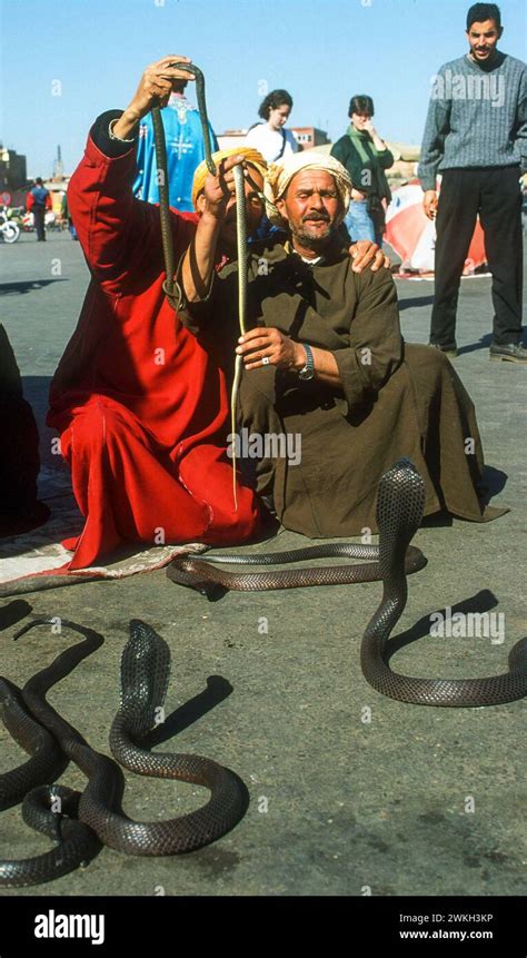 Marrakech, Morocco. Snake-charmers performing in the Djemaa El Fna ...