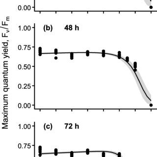 The relationship between photochemical efficiency ΔF Fm and the