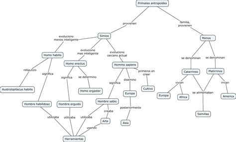 Mapa Conceptual De La Evolucion Revisión De Trabajos Domestika